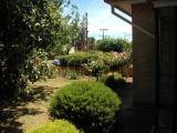 My Front Garden