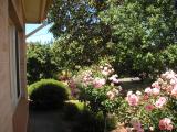 My Front Garden